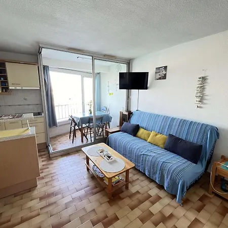 Avec Parking, Animaux Acceptes, Vue Sur Port - Fr-1-702-28 Agde