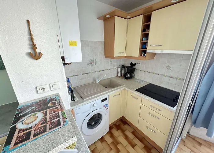 Avec Parking, Animaux Acceptes, Vue Sur Port - Fr-1-702-28 * Agde