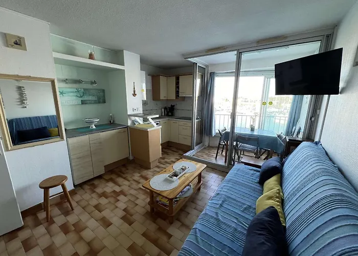 Lägenhet Avec Parking, Animaux Acceptes, Vue Sur Port - Fr-1-702-28